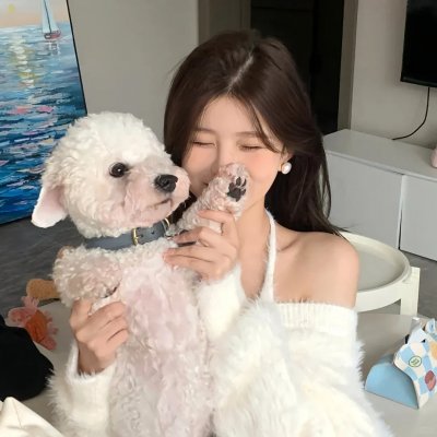威尼斯的阿历克斯